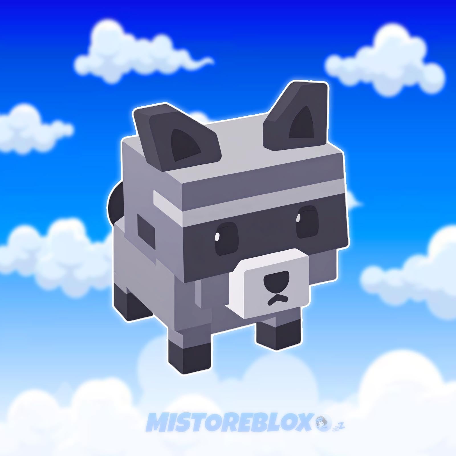 Raccoon